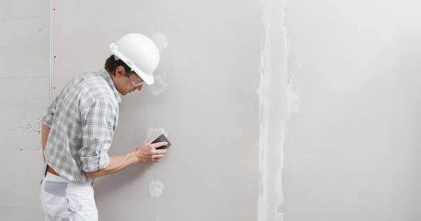 Best Black Mold Removal  in Brooks, KY