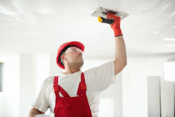 Best Forensic Mold Investigation  in Brooks, KY