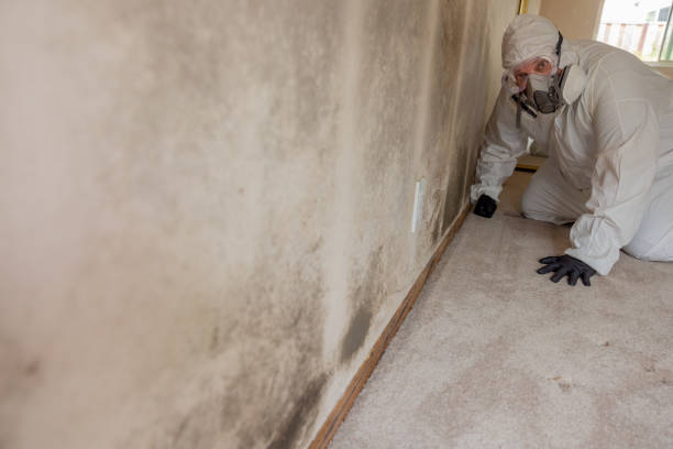 Best Industrial Mold Remediation  in Brooks, KY