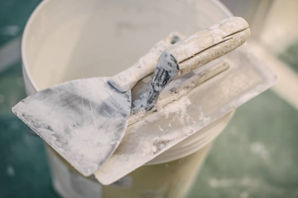 Best Mold Damage Restoration  in Brooks, KY