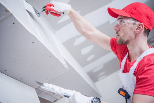 Best Biohazard Mold Removal  in Brooks, KY